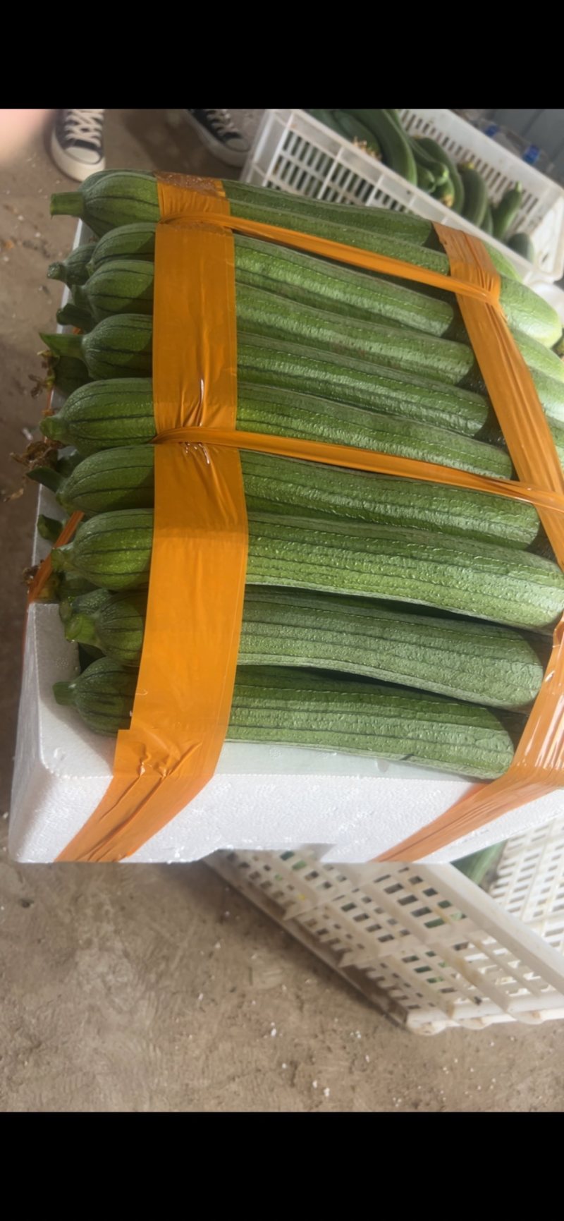 丝瓜纯人工挑拣精品