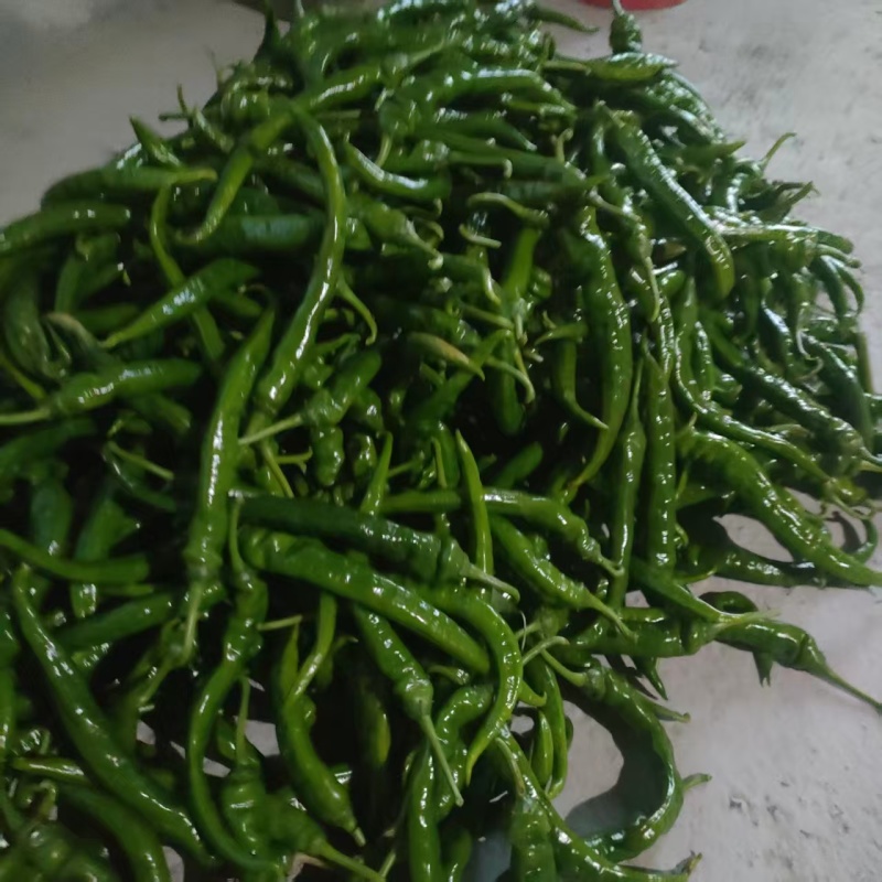 鲜辣椒