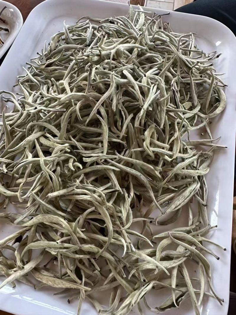 银针茶