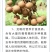 龙眼鲜果，石硖、储良品种；精品果/统果