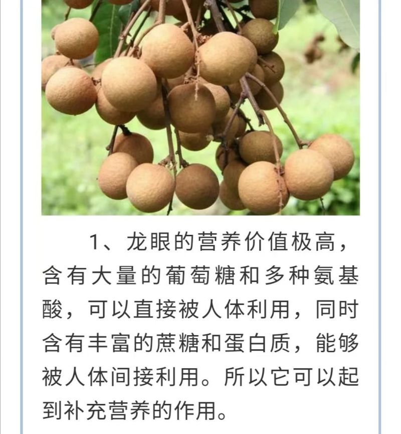龙眼鲜果，石硖、储良品种；精品果/统果