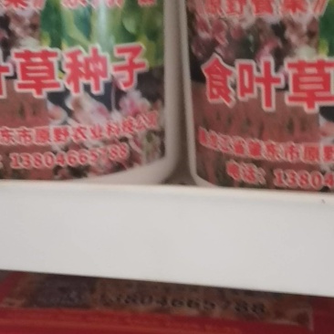 食叶草种子原种一代2000元/斤，二代800元/斤，均为