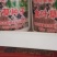 食叶草种子原种一代2000元/斤，二代800元/斤，均为