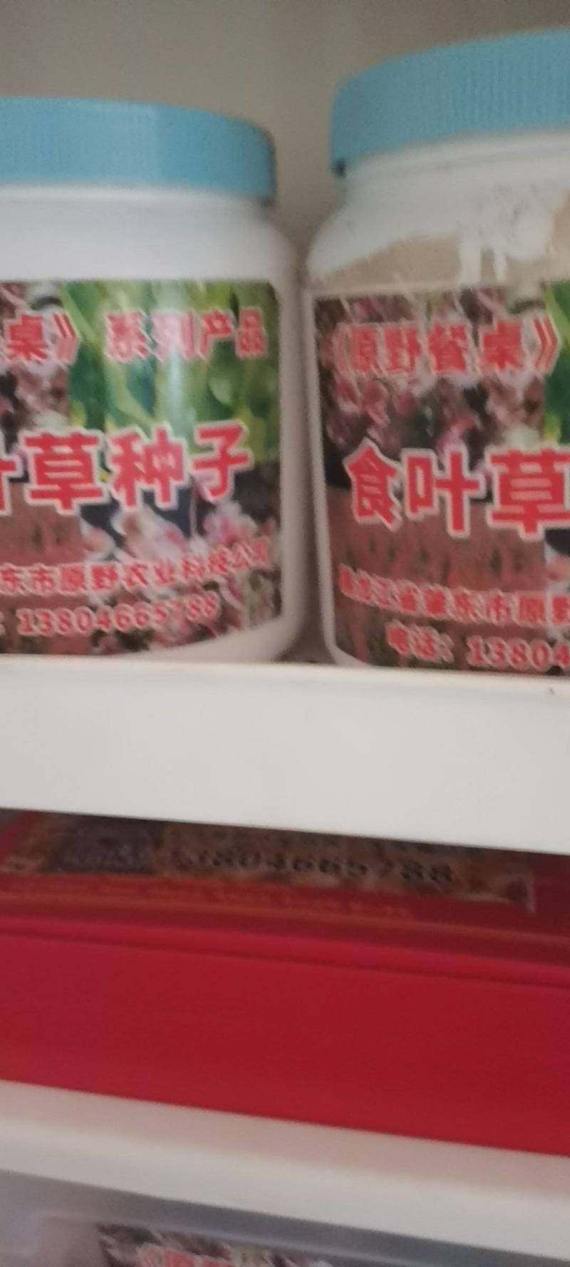 食叶草种子原种一代2000元/斤，二代800元/斤，均为