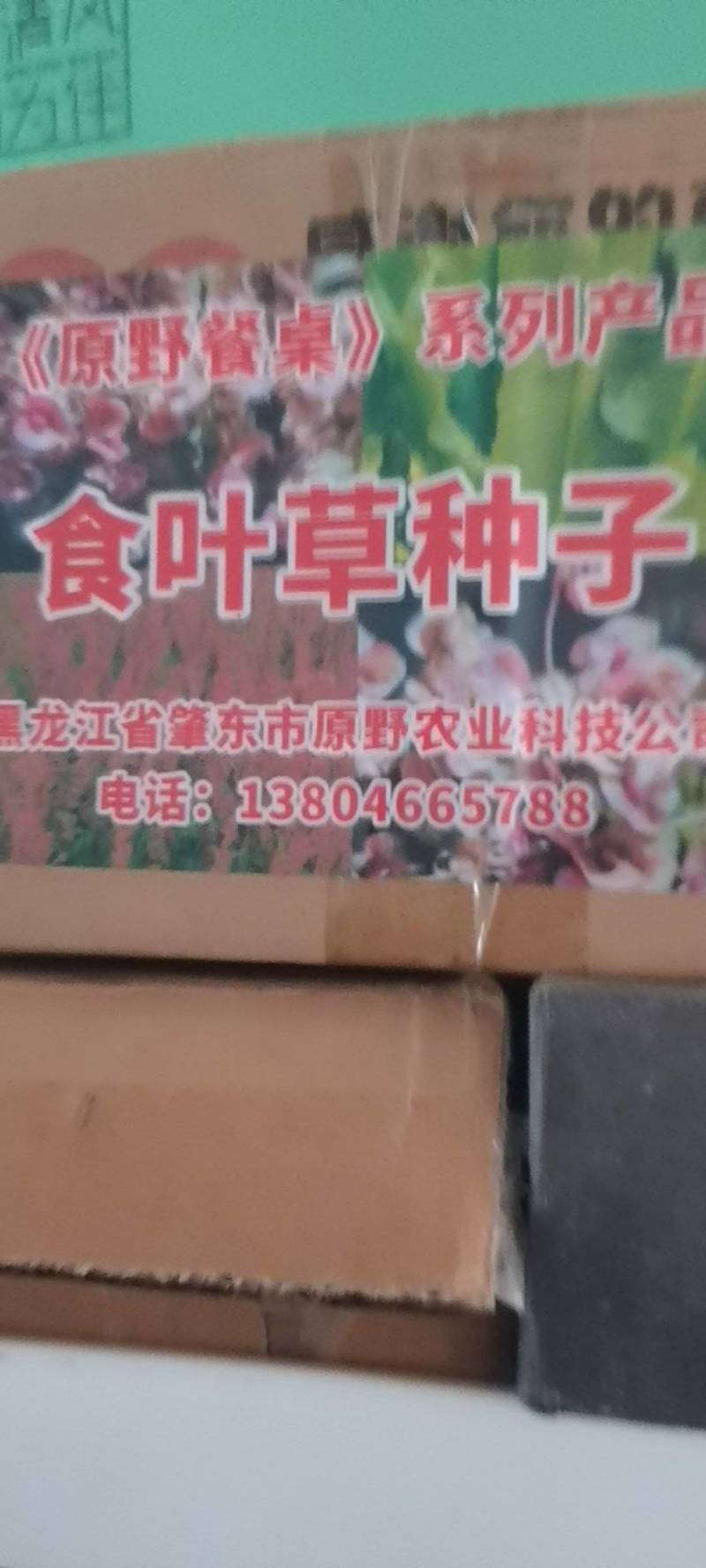 食叶草种子原种一代2000元/斤，二代800元/斤，均为