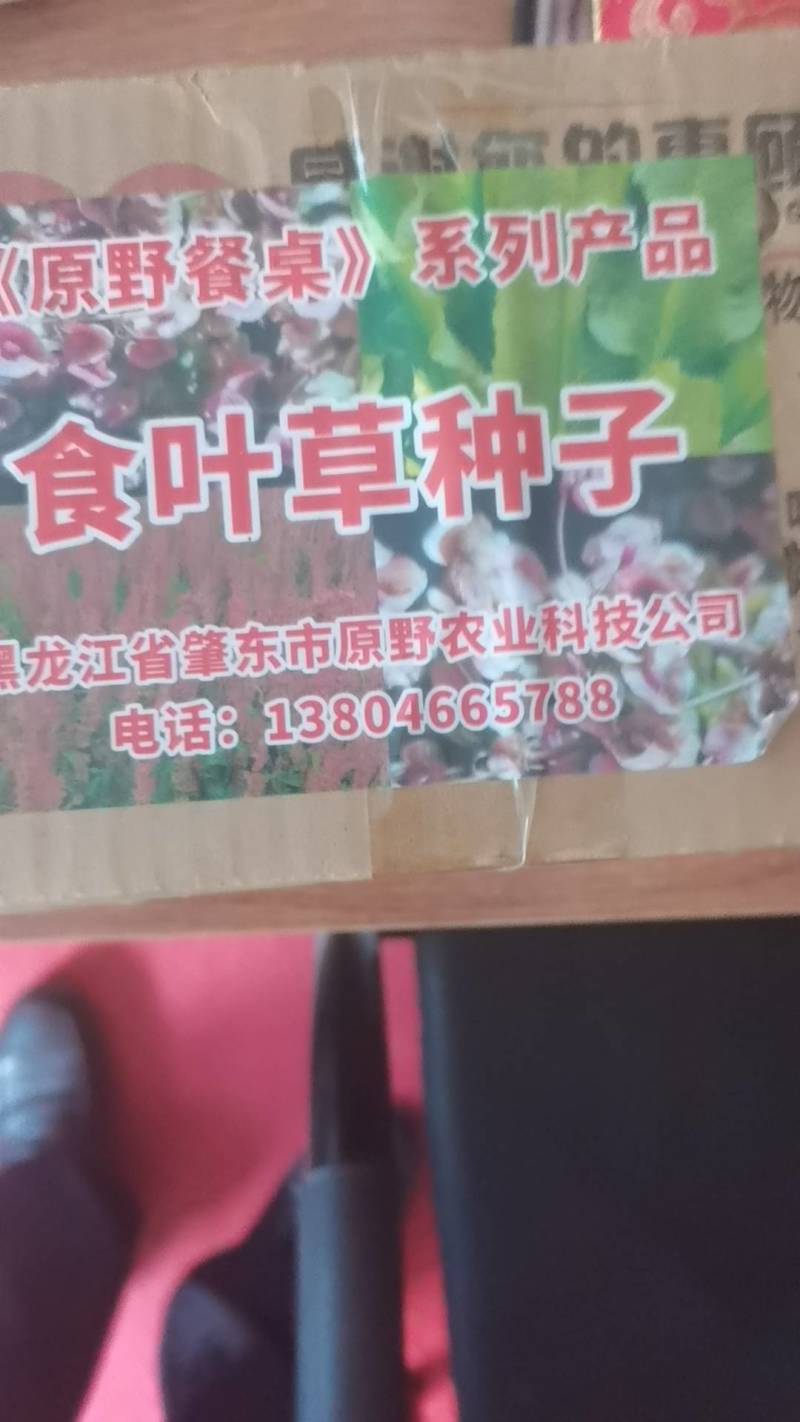 食叶草种子原种一代2000元/斤，二代800元/斤，均为