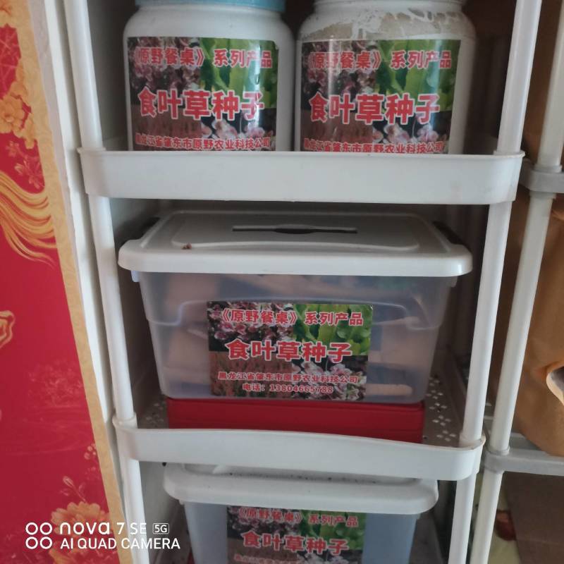 食叶草种子原种一代2000元/斤，二代800元/斤，均为