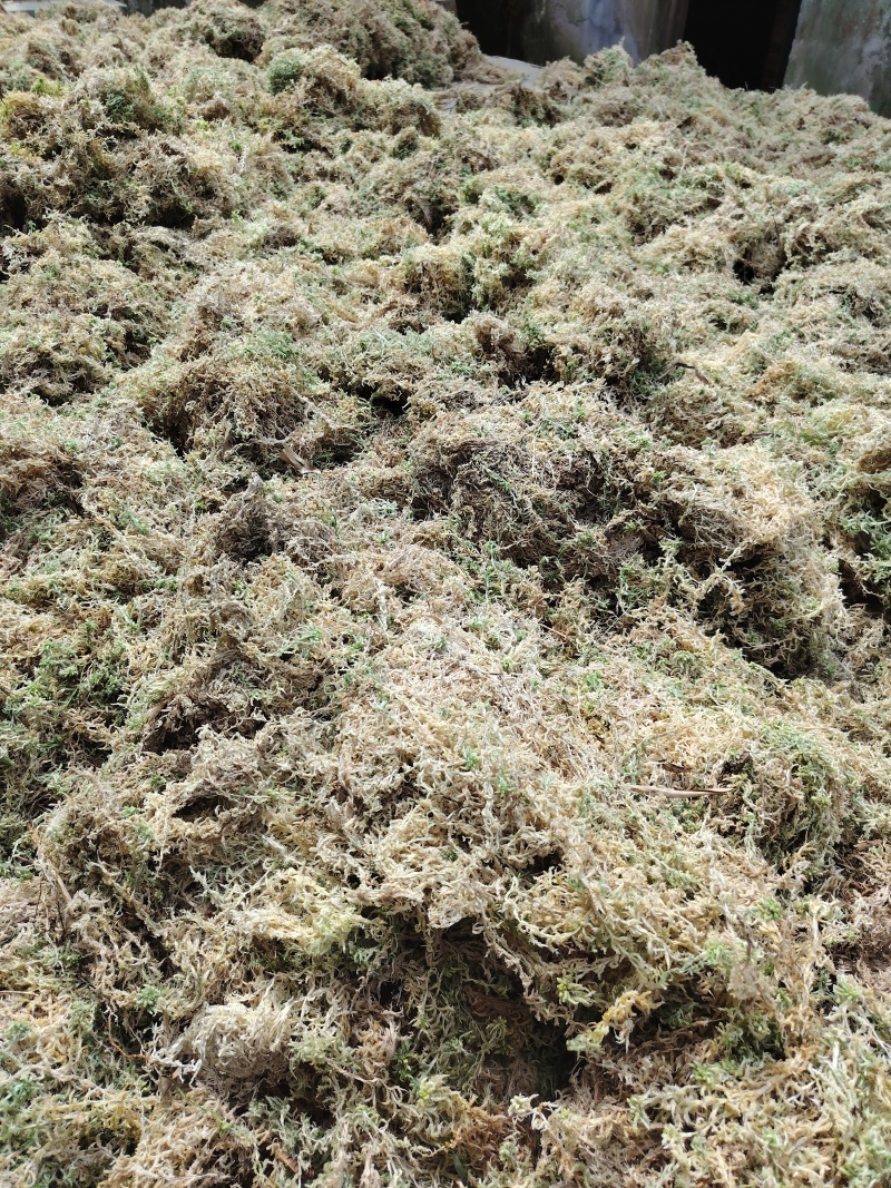 水苔统货袋装