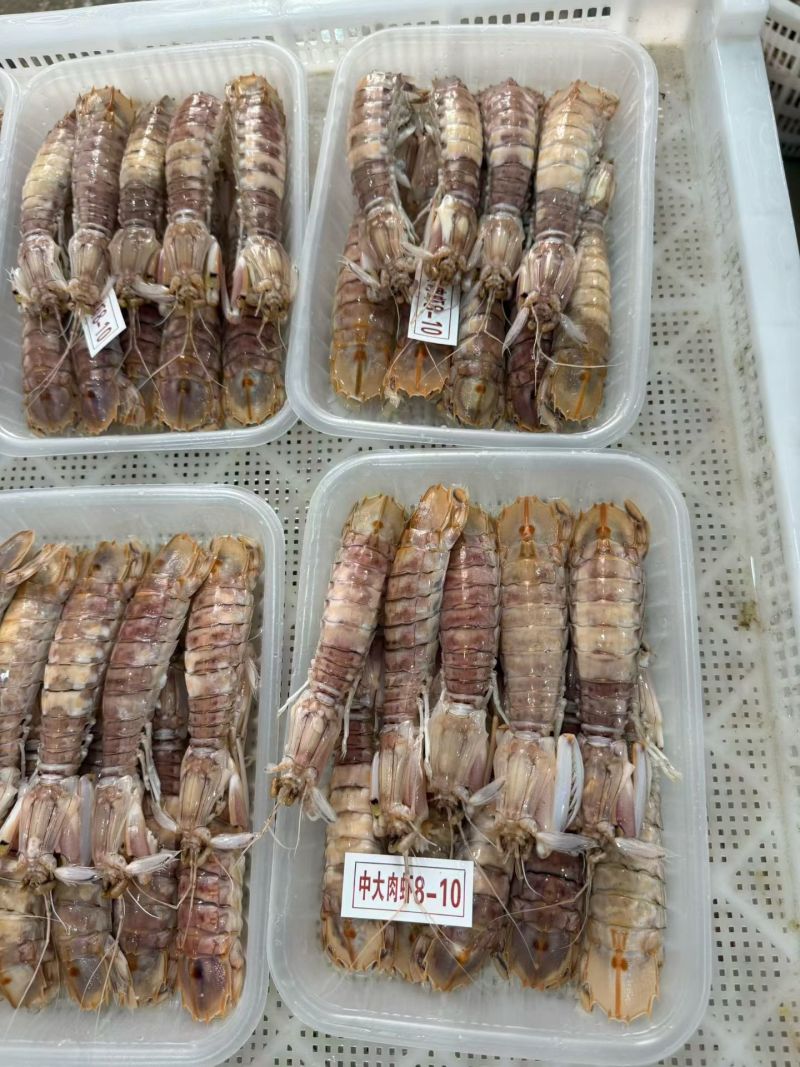 皮皮虾5-7头/盒36元;8-10头/盒33元;10-1