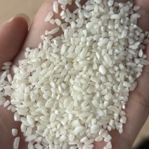 碎米缅甸A1:2，50kg/包