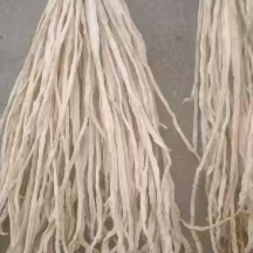 花芸豆20多公分