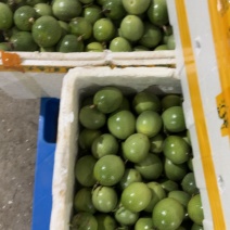 百香果全规格都有