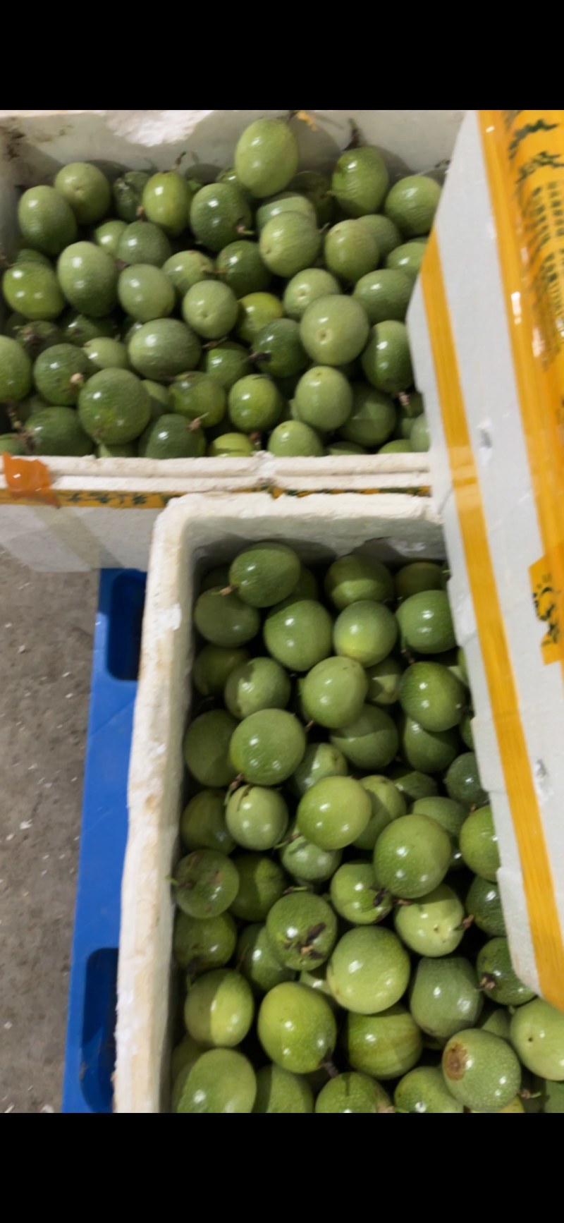 百香果全规格都有