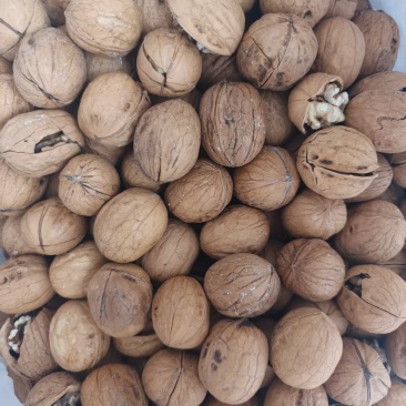 核桃奶香味