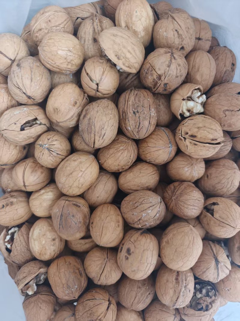 核桃奶香味