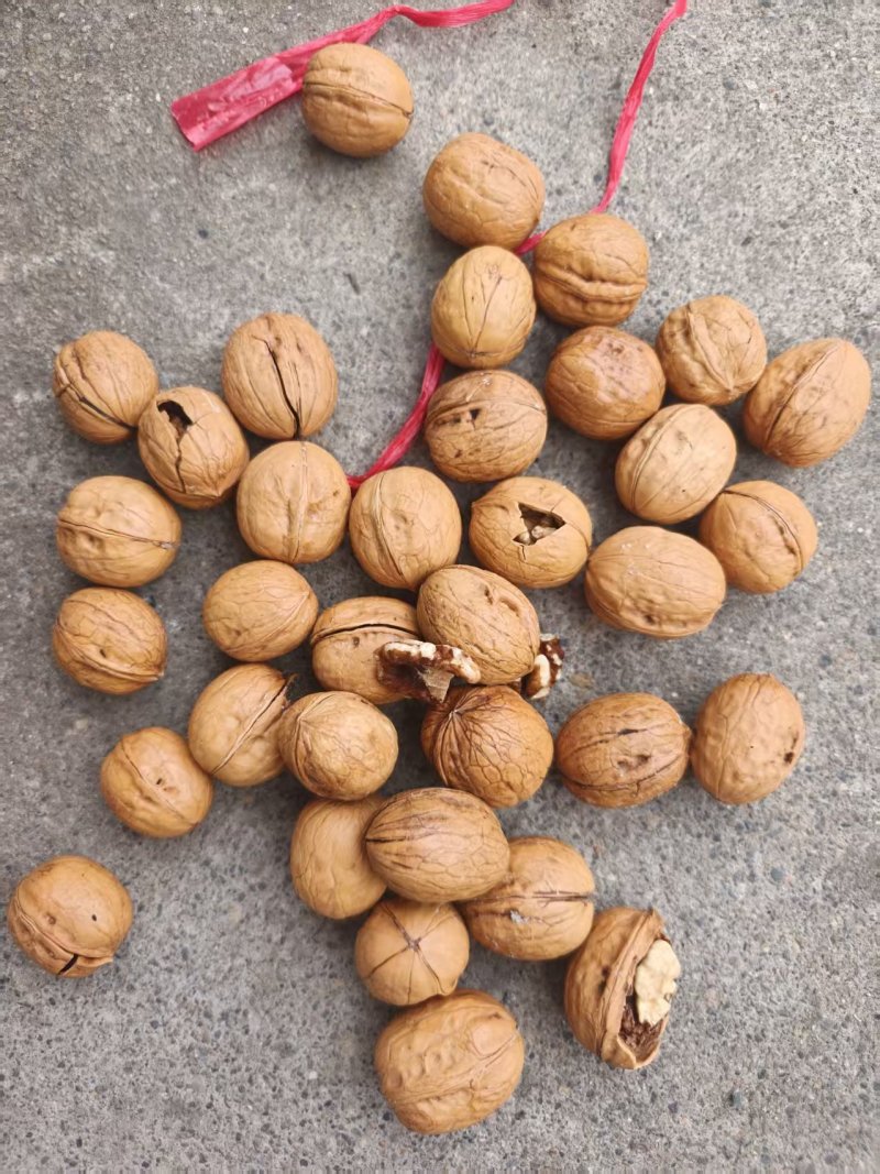 核桃奶香味