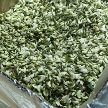 槐花冷冻洋槐花，一箱净重10斤