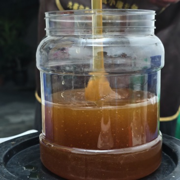 土蜂蜜一斤装瓶装