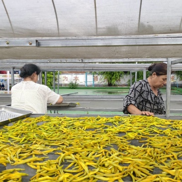 黄花菜干菜，一斤一包