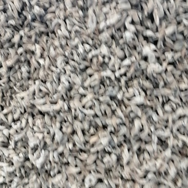 春耳1.5cm以下