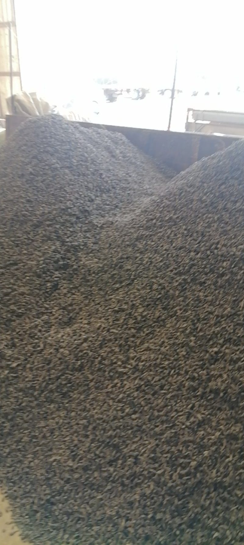 春耳1.5cm以下