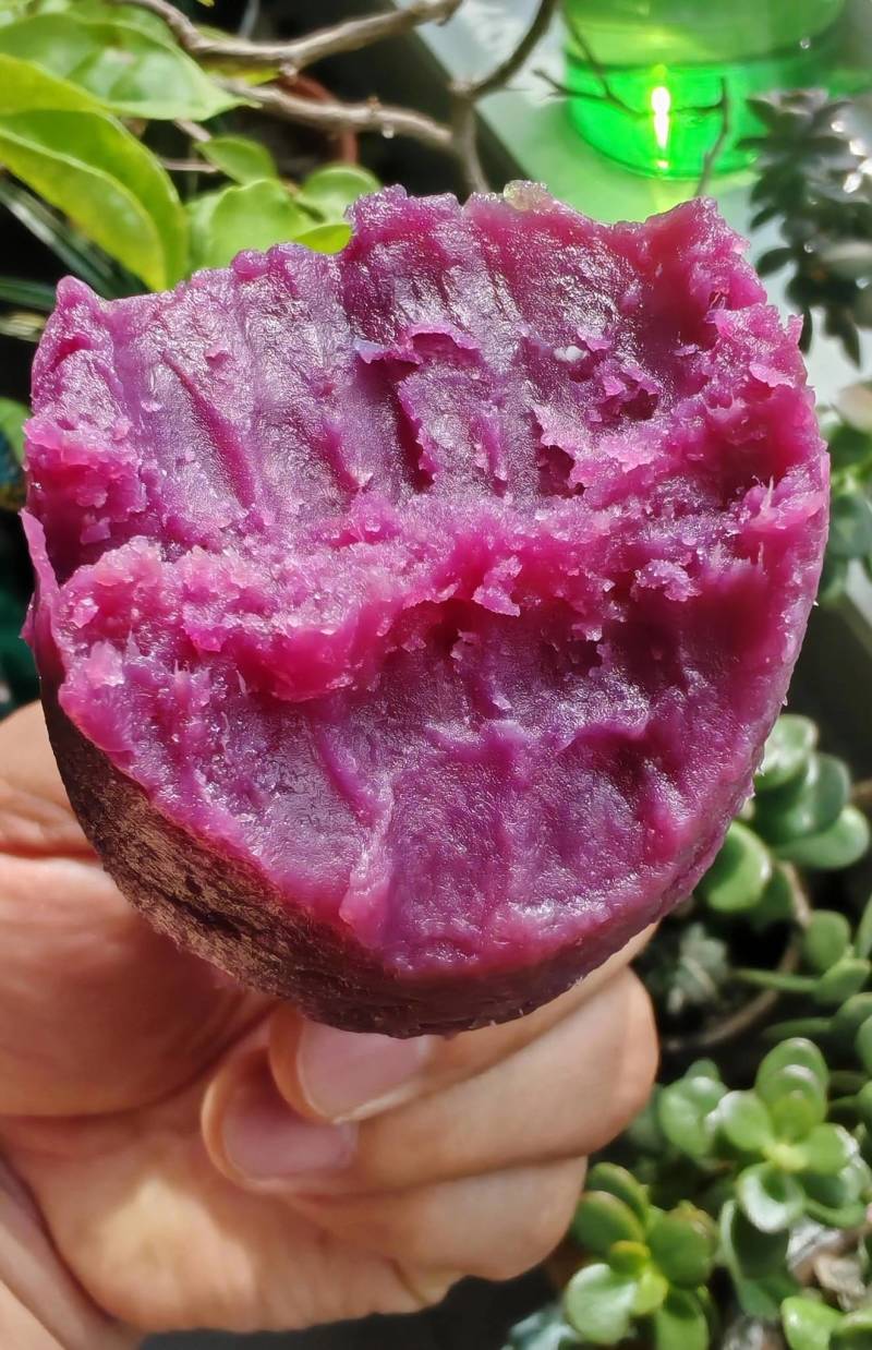 紫薯1两以上起