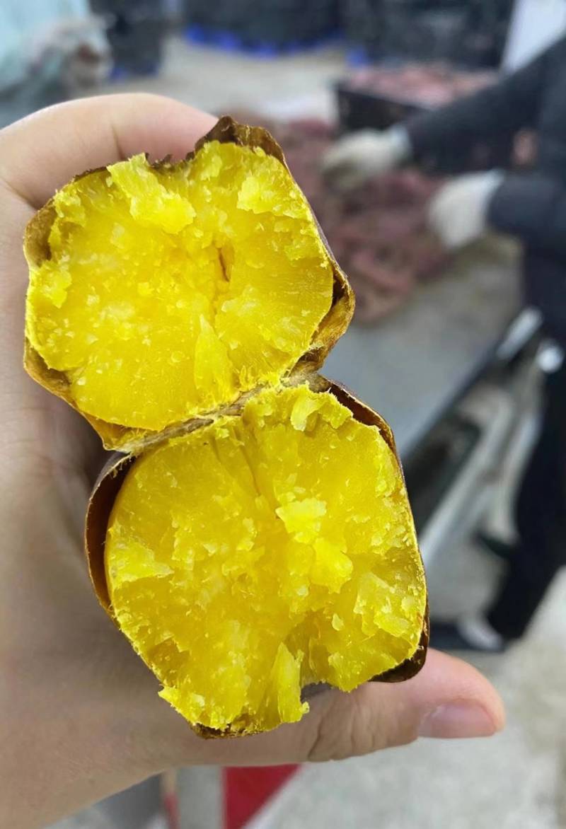 红薯1两以上起