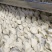 水饺羊肉大葱500克/袋,韭菜鸡蛋500克*5袋装,