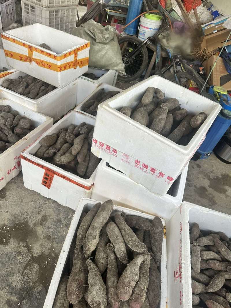 山药不分规格