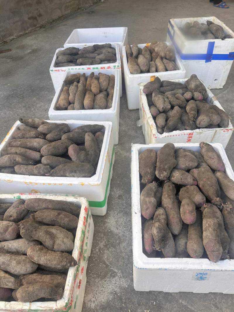 山药不分规格