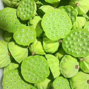莲蓬中果