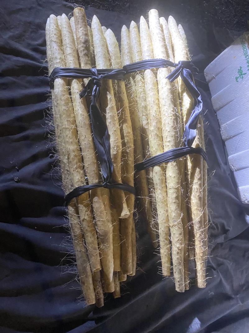 山药精品货