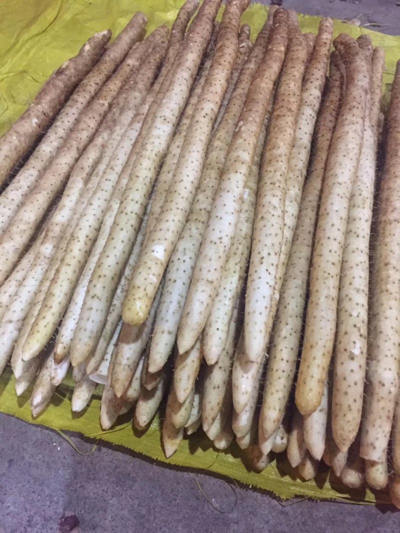 山药精品货
