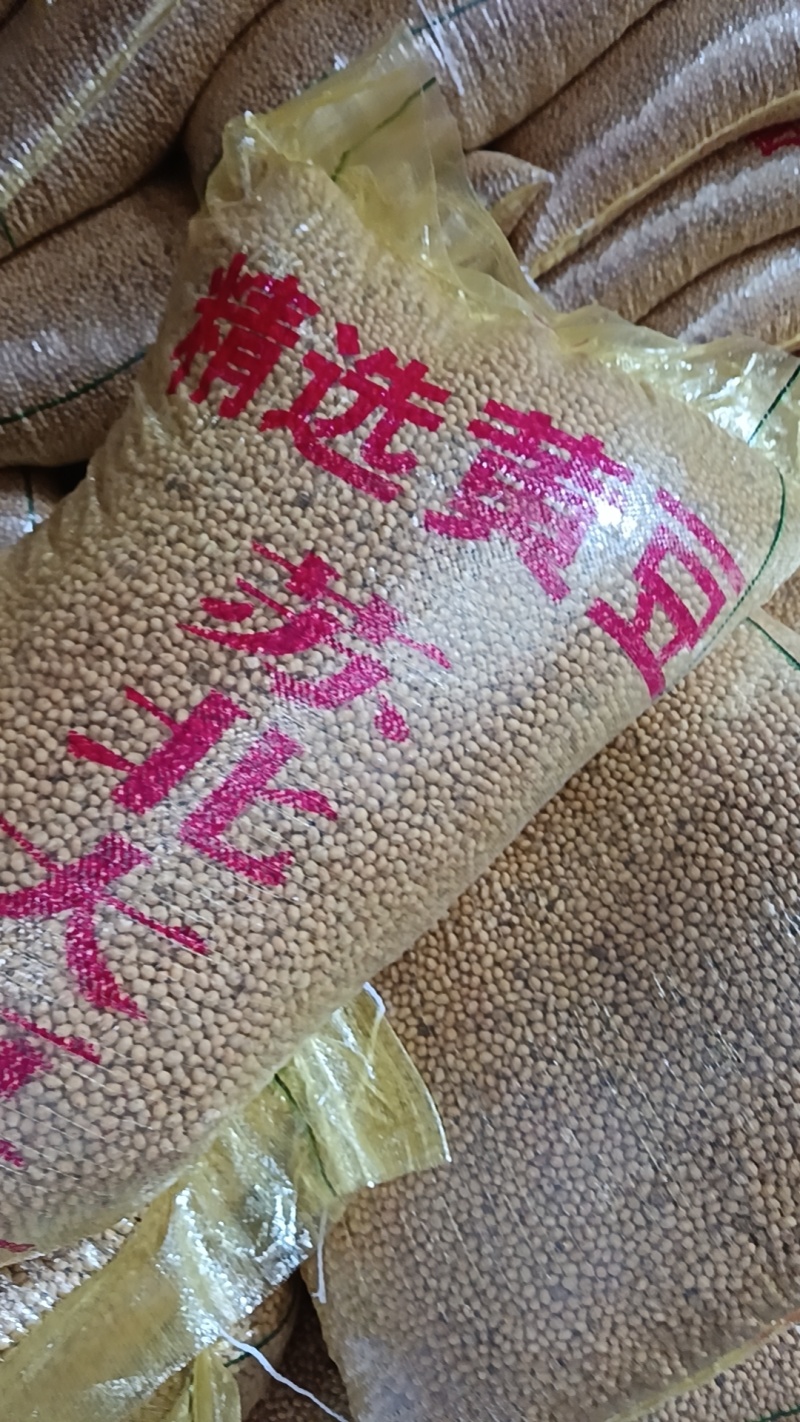大豆