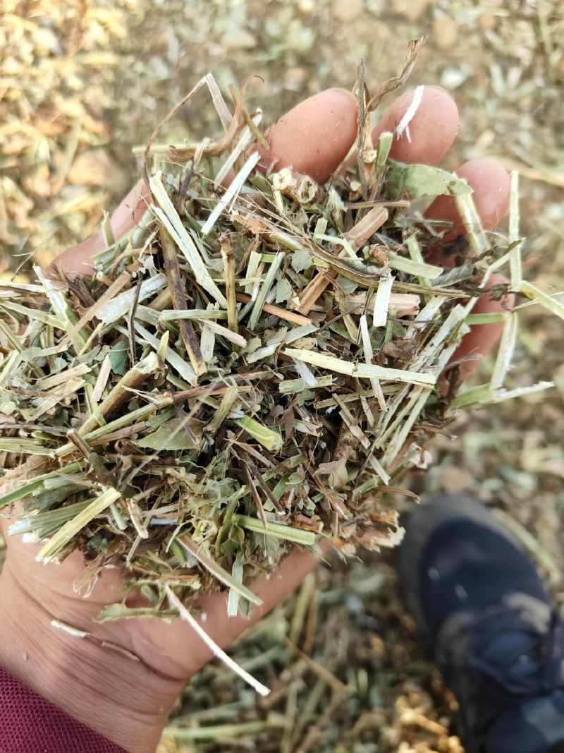 花生秧草粉,草段