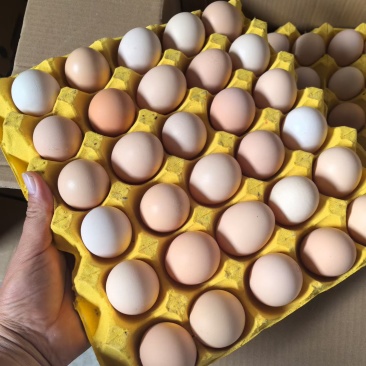 鸡蛋粉壳蛋，箱装360枚/箱(12盘×30枚)，20斤-