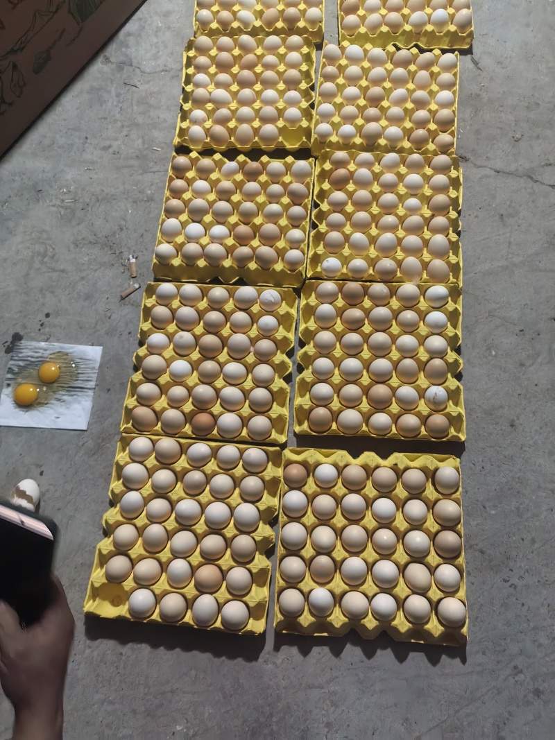 鸡蛋粉壳蛋，箱装360枚/箱(12盘×30枚)，20斤-
