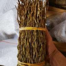 铁皮石斛理条