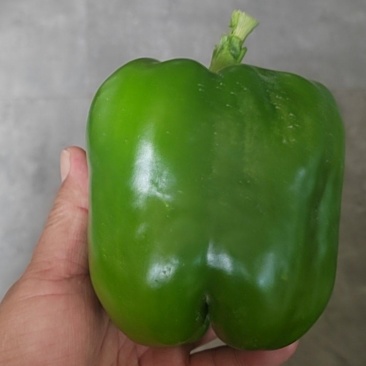 鲜辣椒大青椒