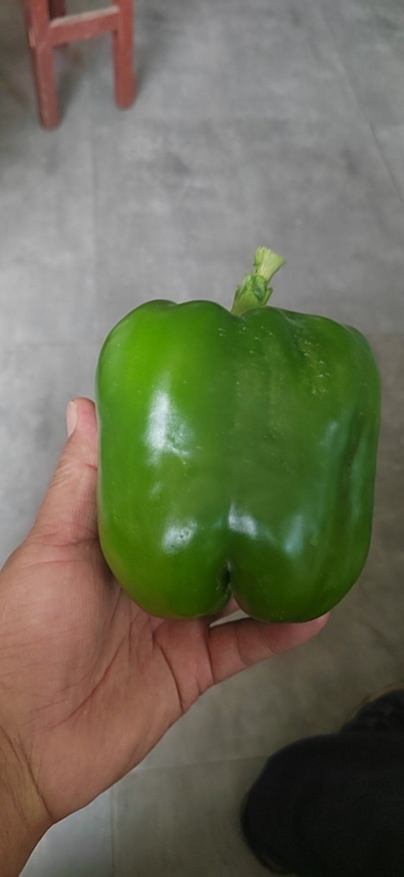 鲜辣椒大青椒