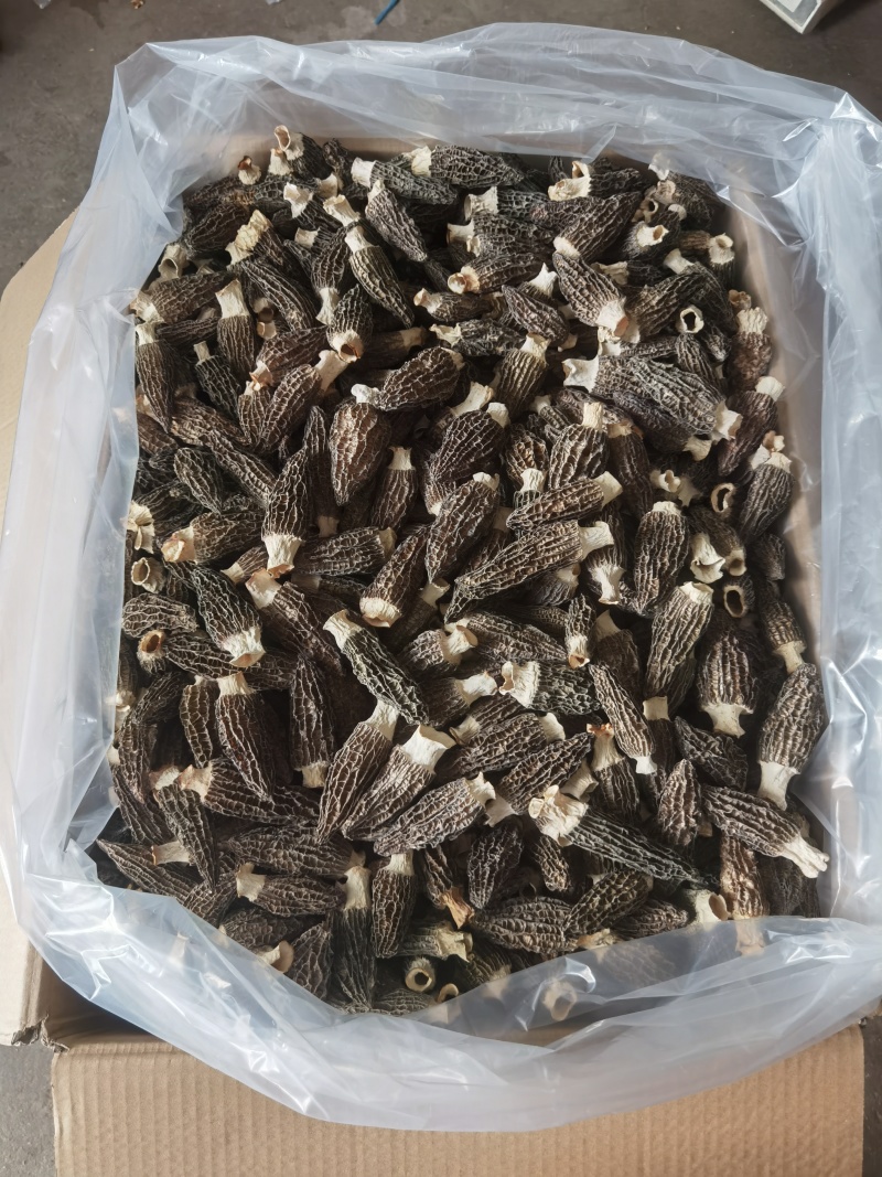 羊肚菌干羊肚菌，批发价150-300元/斤看品质