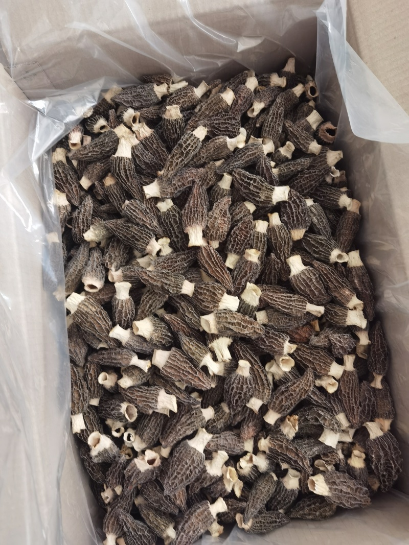 羊肚菌干羊肚菌，批发价150-300元/斤看品质