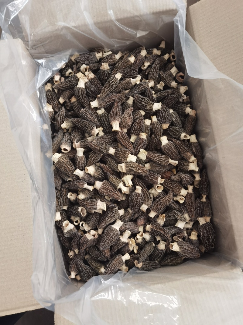 羊肚菌干羊肚菌，批发价150-300元/斤看品质
