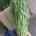 贡菜干一级
