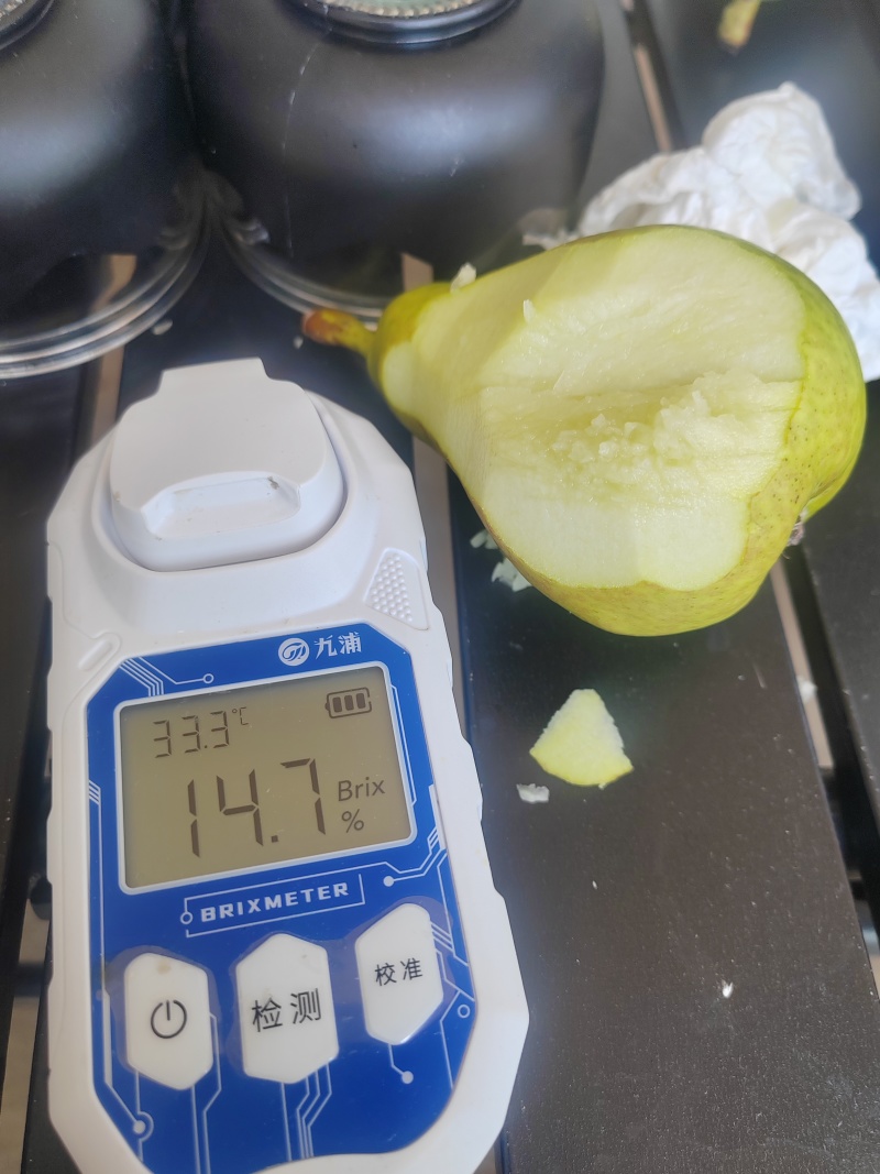 贵妃梨通货大小一起