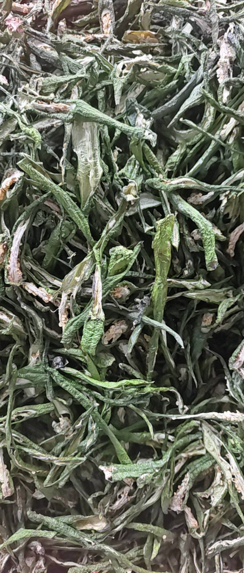 干辣椒长度15公分左右
