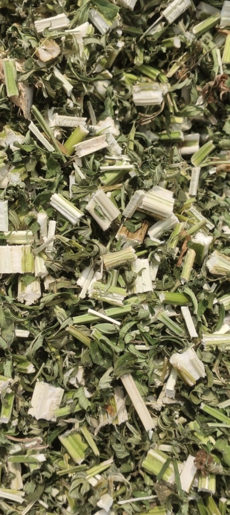 益母草统货