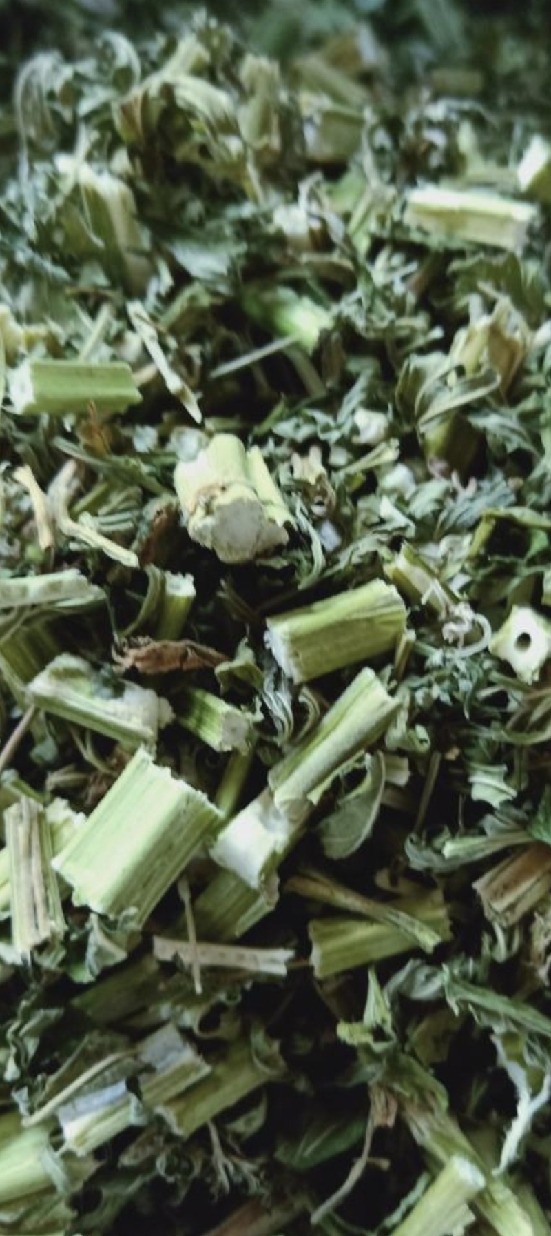 益母草统货