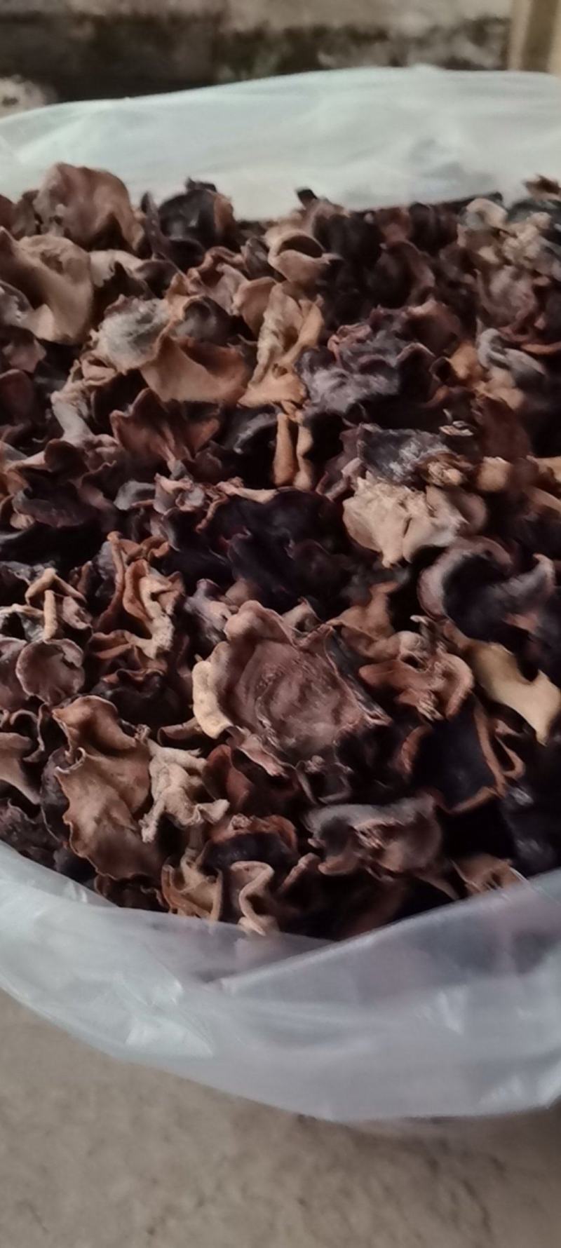 黑木耳过滤精品货毛木耳