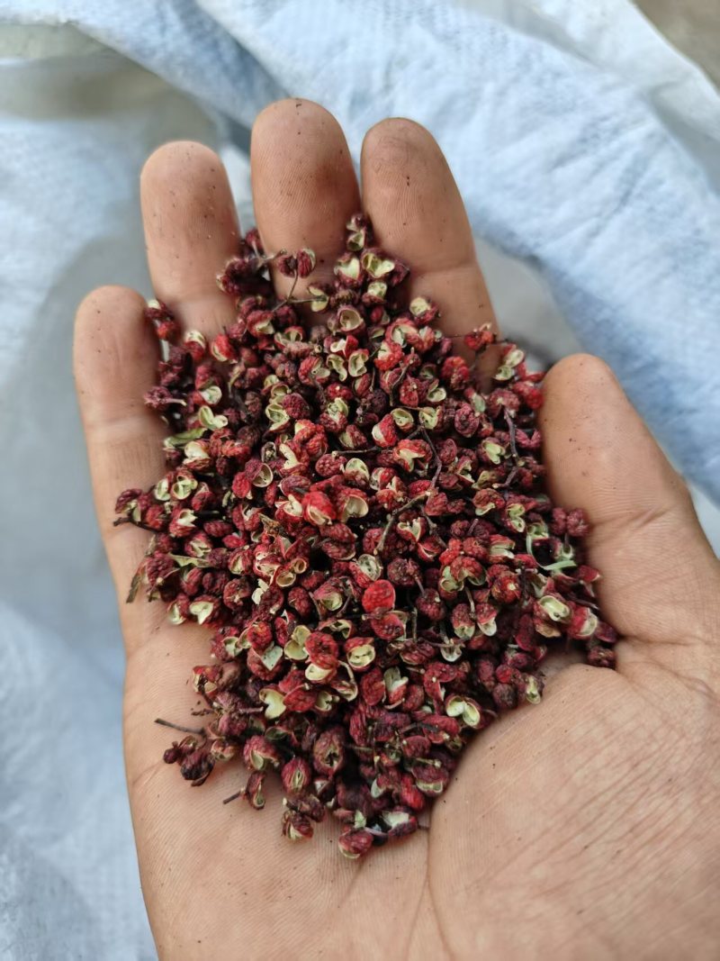 大红袍花椒干花椒